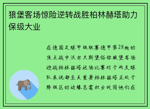 狼堡客场惊险逆转战胜柏林赫塔助力保级大业