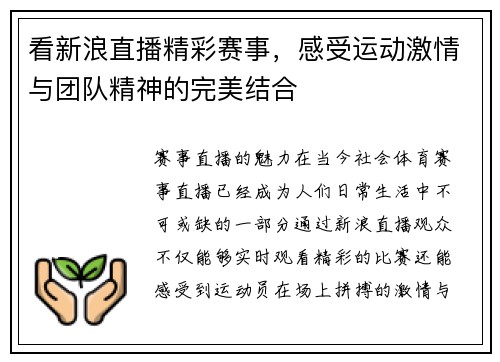 看新浪直播精彩赛事，感受运动激情与团队精神的完美结合